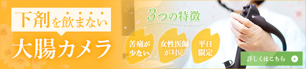 大腸カメラ 大腸内視鏡 検査 名古屋市名東区の桜の咲クリニック 藤が丘駅 本郷駅 上社駅 一社駅 小幡駅